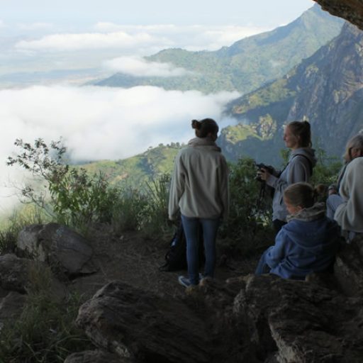usambara